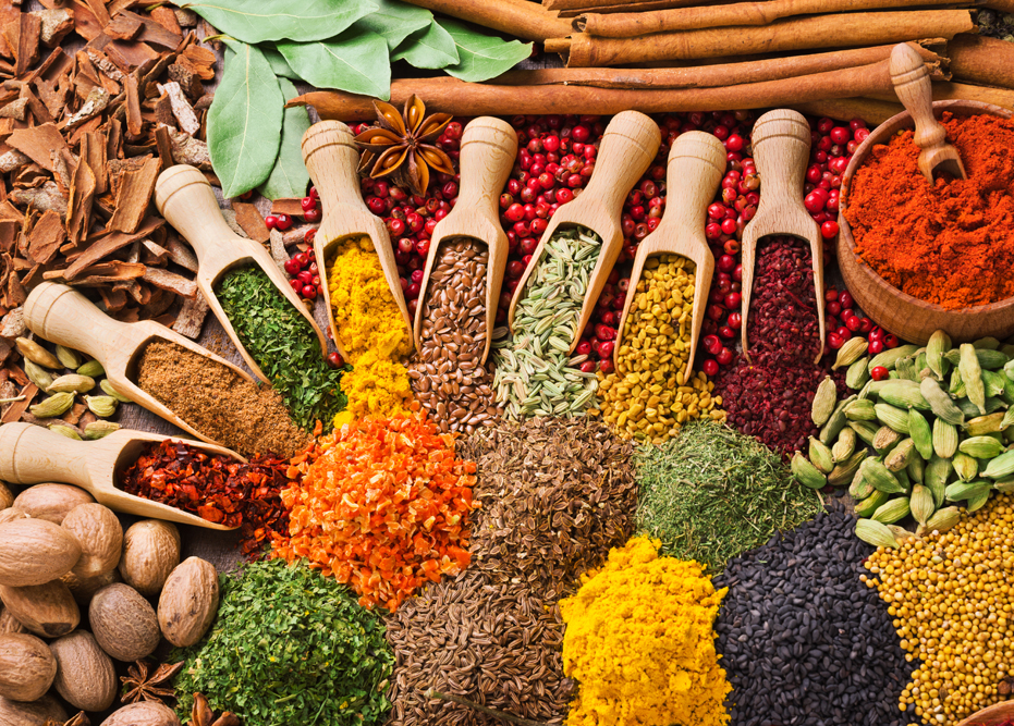 Exhibition for spices in India